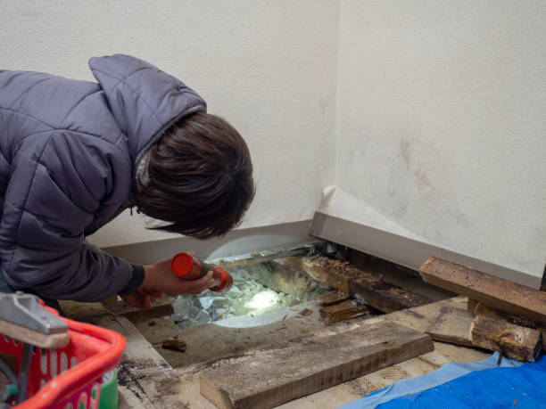 Best Mold Prevention Services  in Ozark, AL