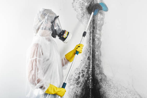 Best Forensic Mold Investigation  in Ozark, AL