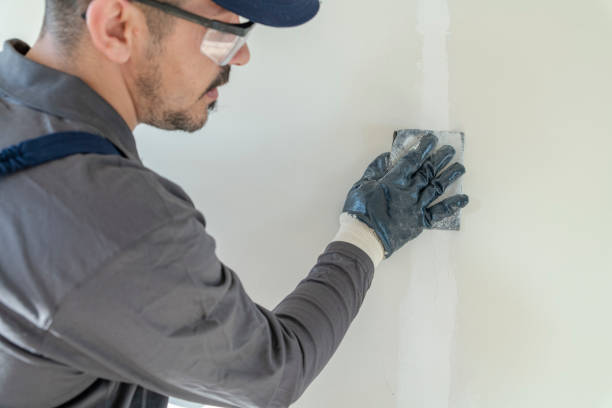 Best Post-Remediation Verification Testing  in Ozark, AL