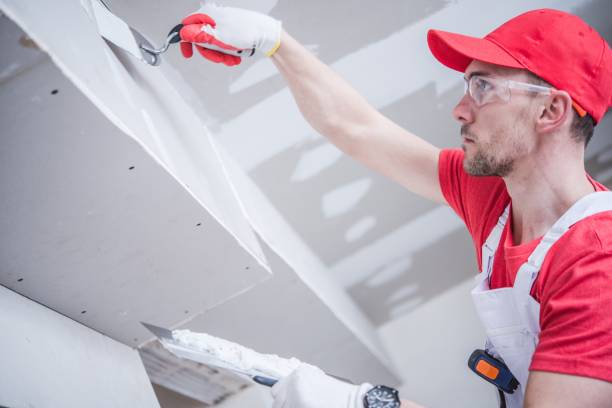 Best Mold Damage Restoration  in Ozark, AL